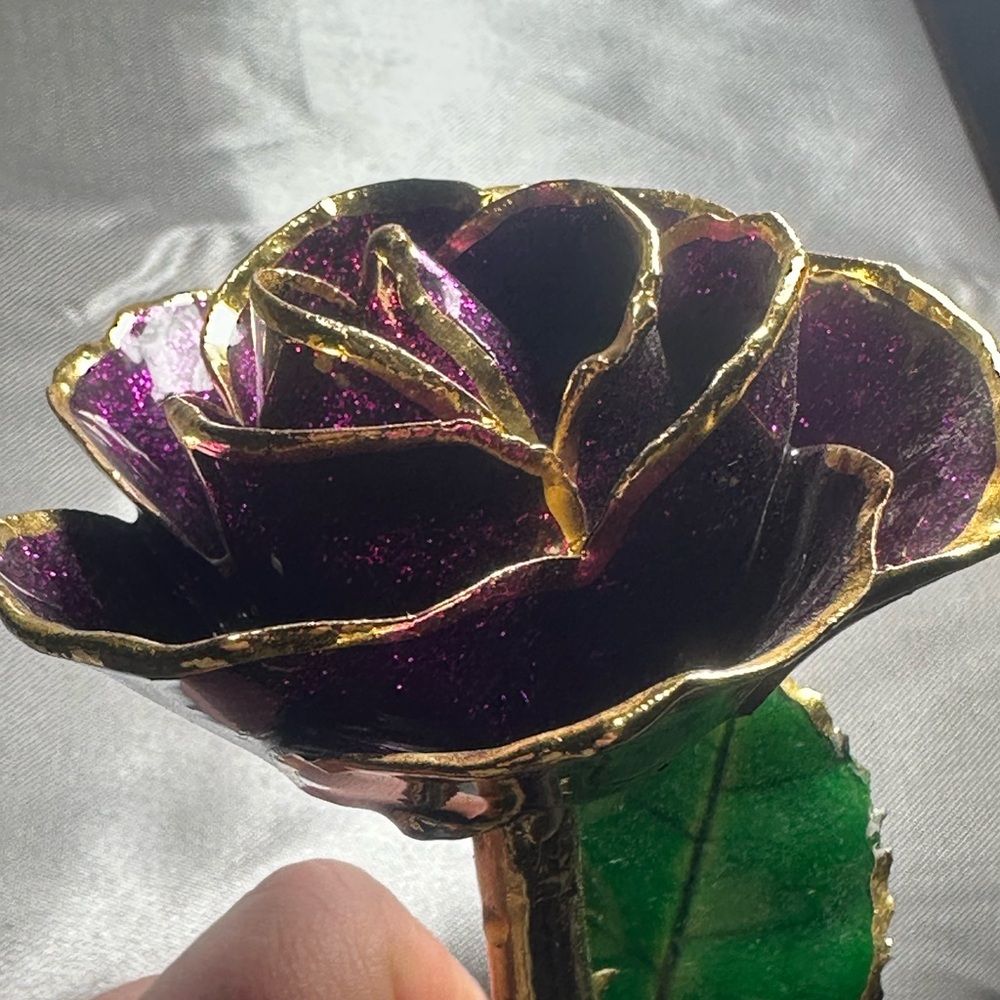 I Hate Steven Singer Magenta sparkle 24kt gold dipped real rose
